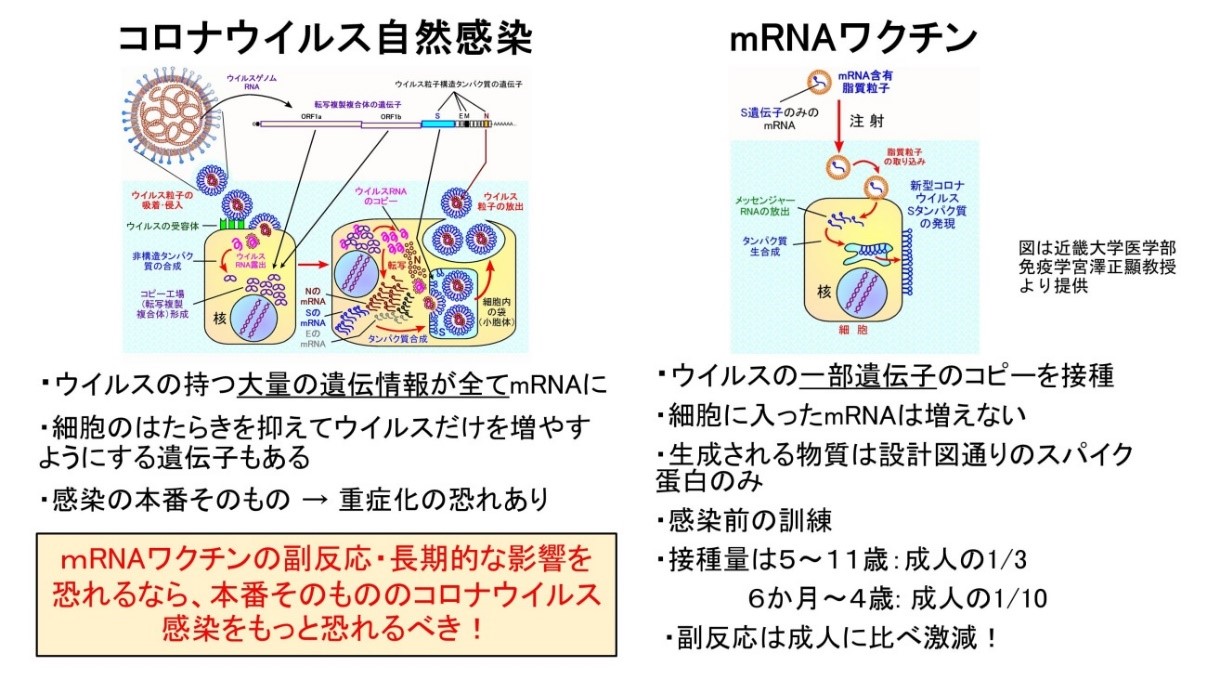 図3_uncategorizeda322.jpg